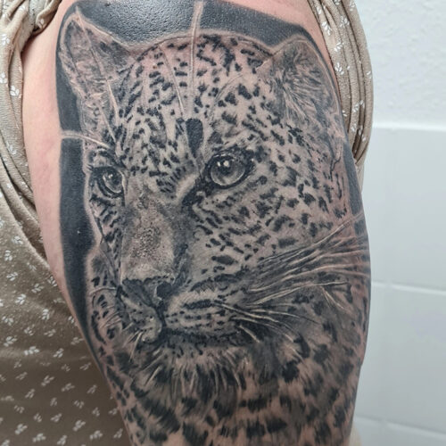 Tatoo leopard